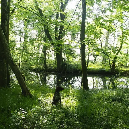 Le Rossay Saint-Clement-de-la-Place